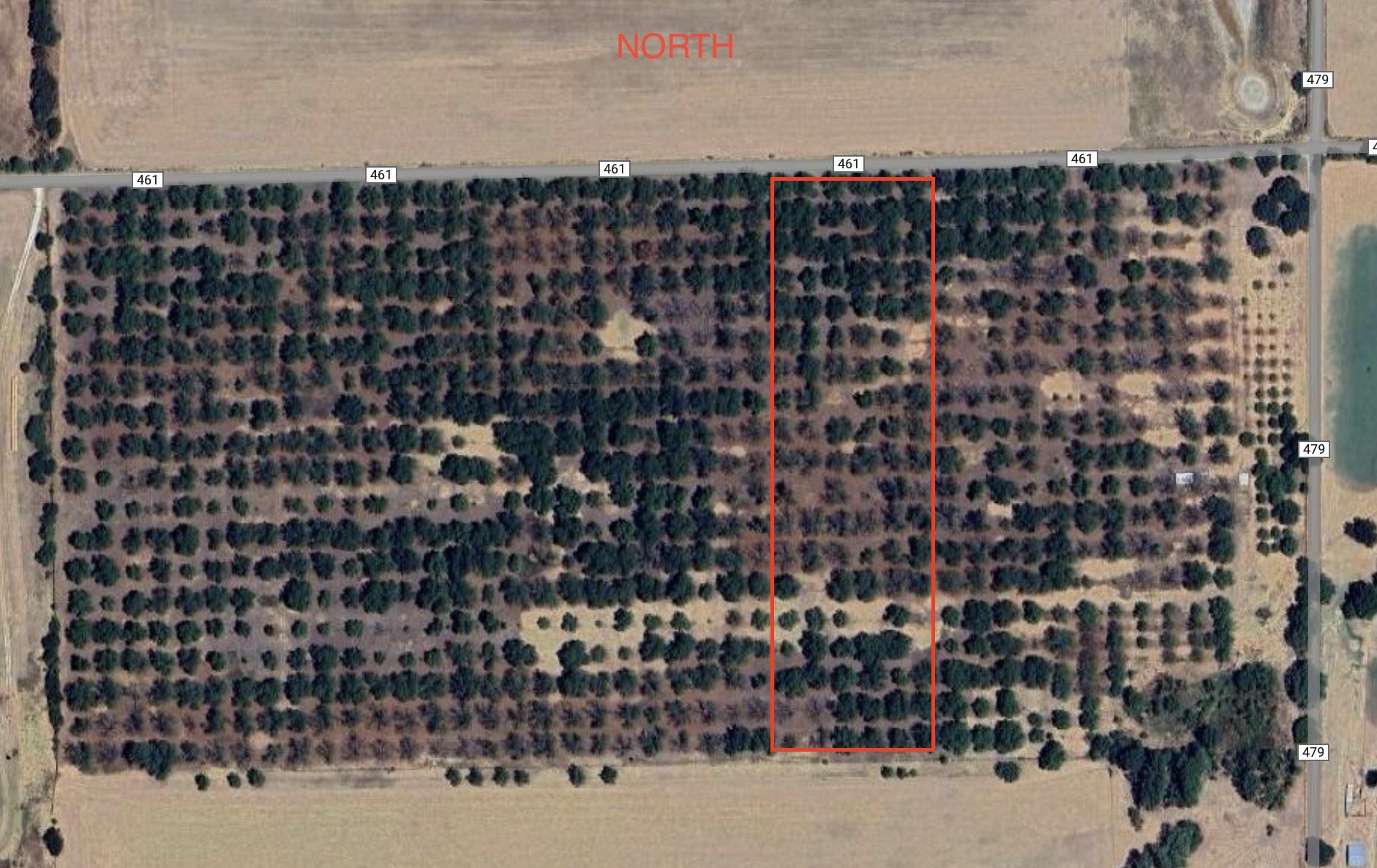 Tbd Cr 461 De Leon TX 76444