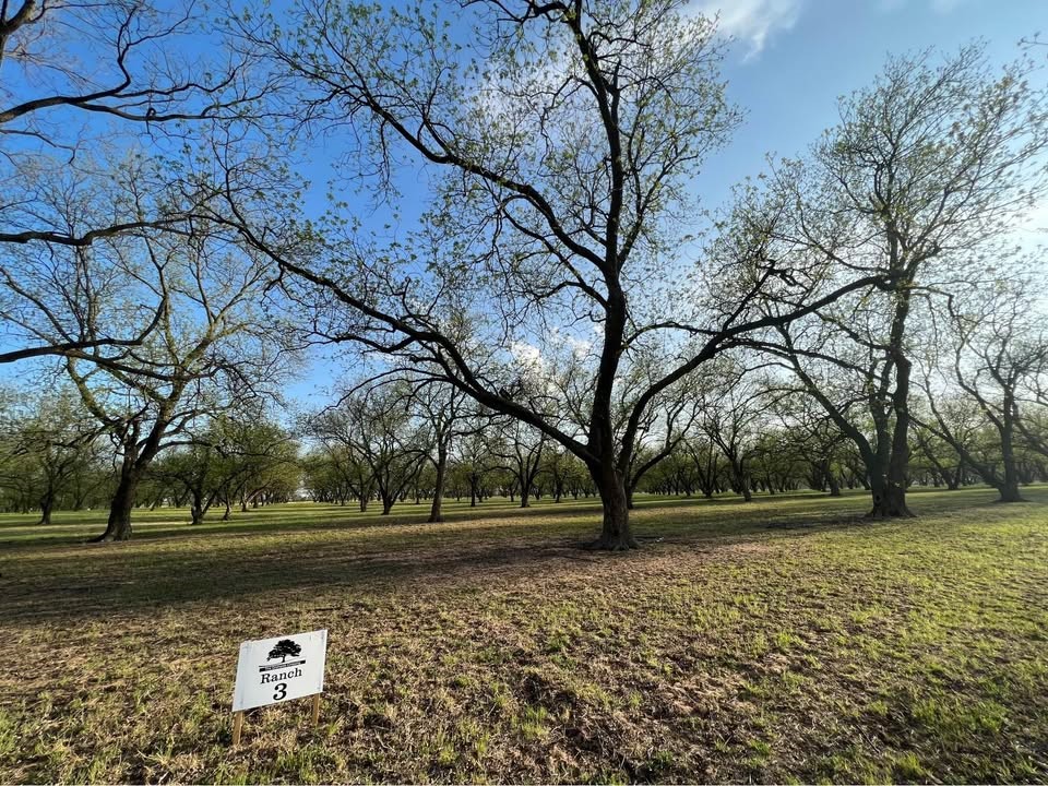 Tbd Cr 461 De Leon TX 76444