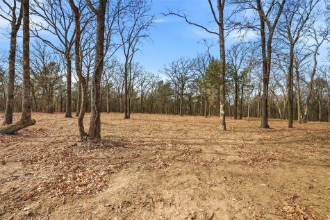 Lot 30 White Tail Way Pottsboro TX 75076