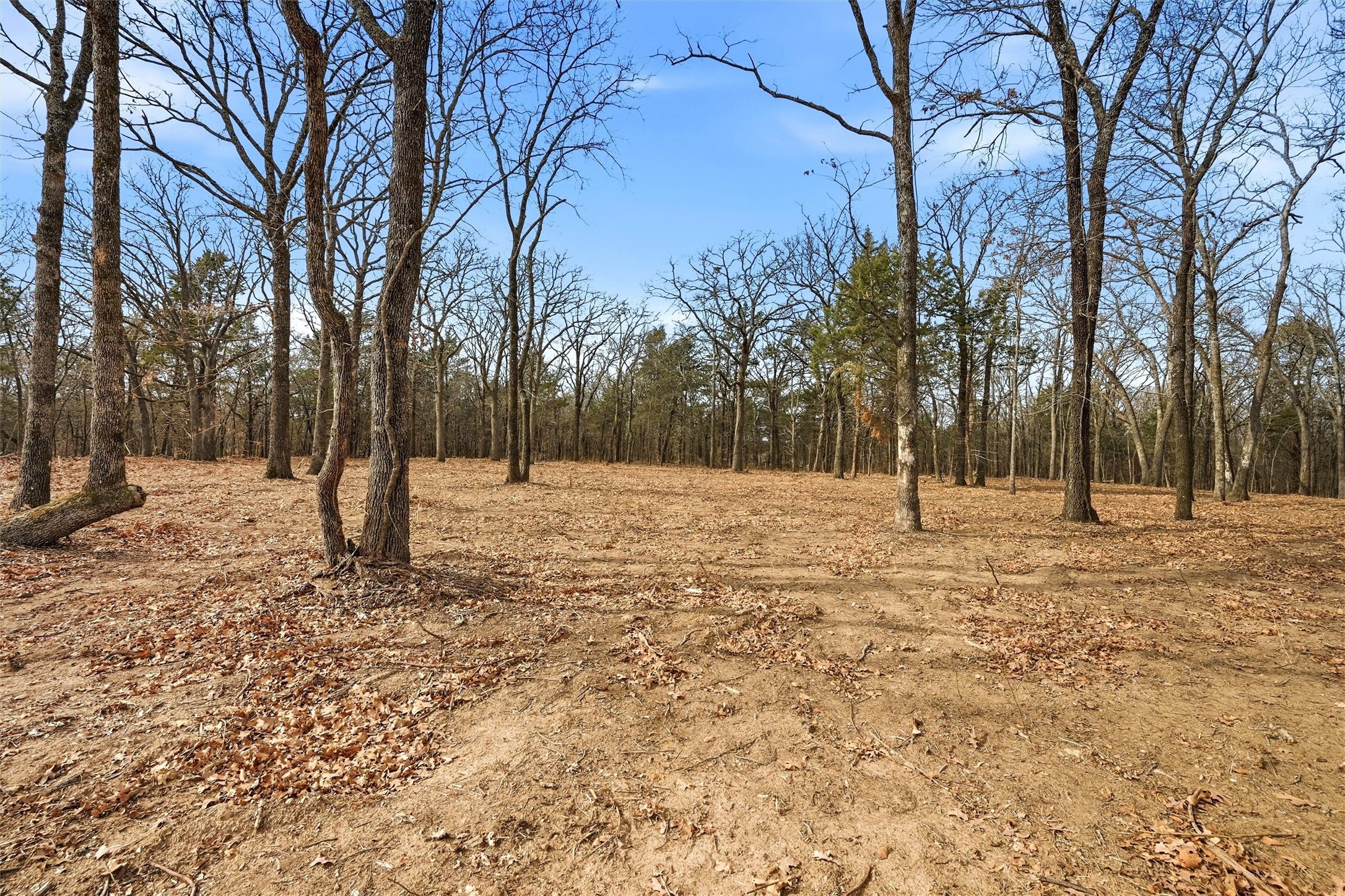 Lot 30 White Tail Way Pottsboro TX 75076