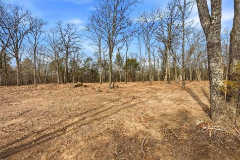 Lot 30 White Tail Way Pottsboro TX 75076