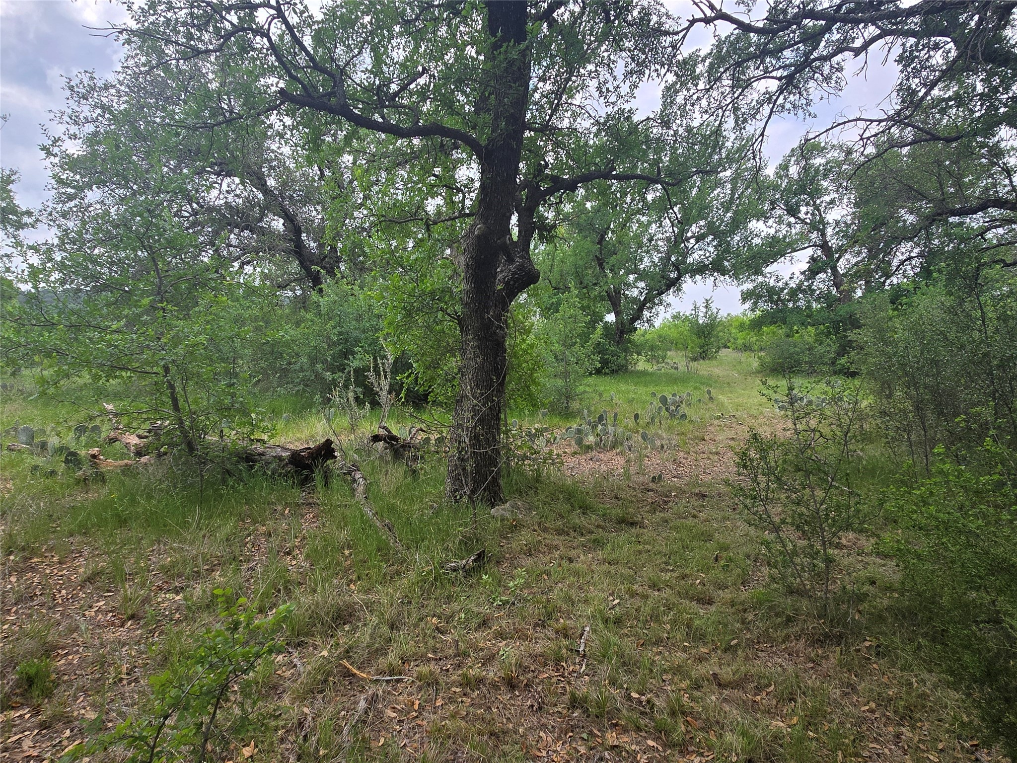 Lot 913 Cinnamon Teal Graford TX 76449