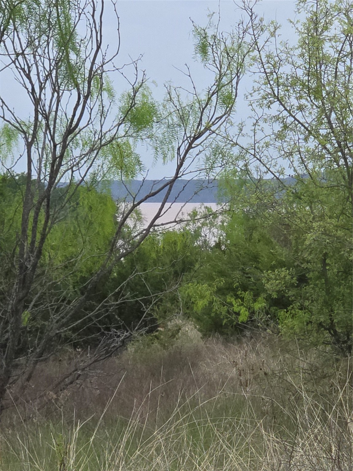 Lot 913 Cinnamon Teal Graford TX 76449