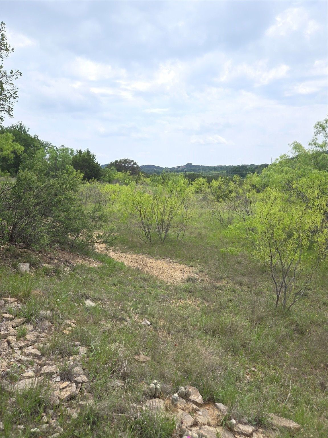 Lot 913 Cinnamon Teal Graford TX 76449