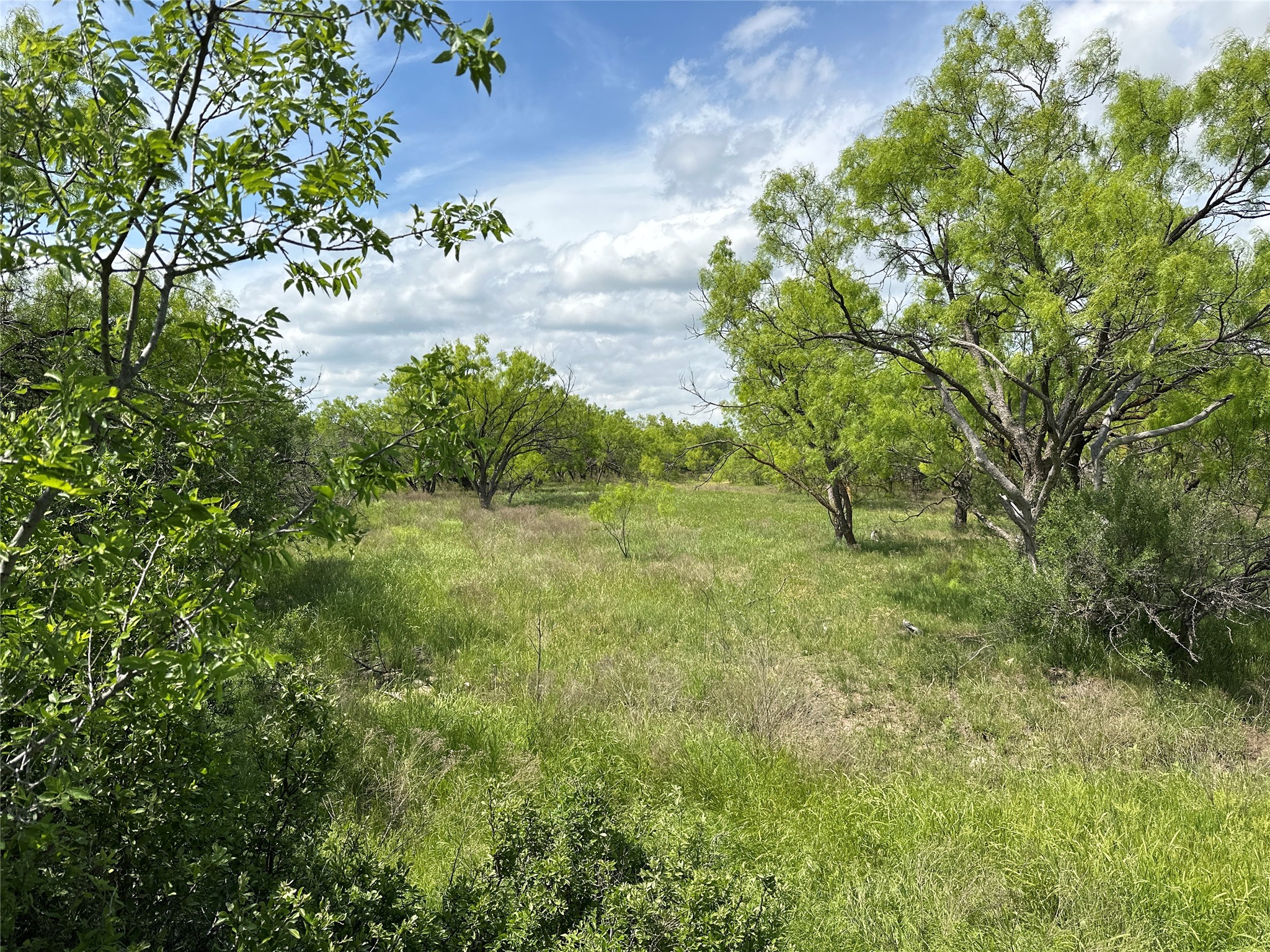 Tract 14 Ac Cr 105 Abilene TX 79601