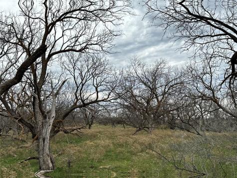 Tract 14 Ac Cr 105 Abilene TX 79601