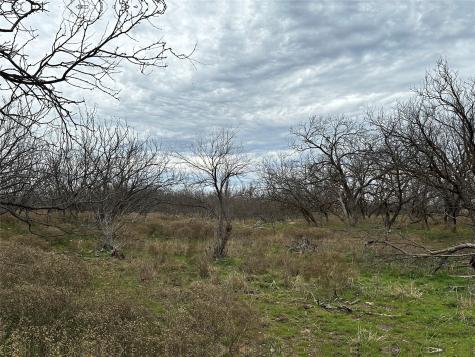 Tract 14 Ac Cr 105 Abilene TX 79601