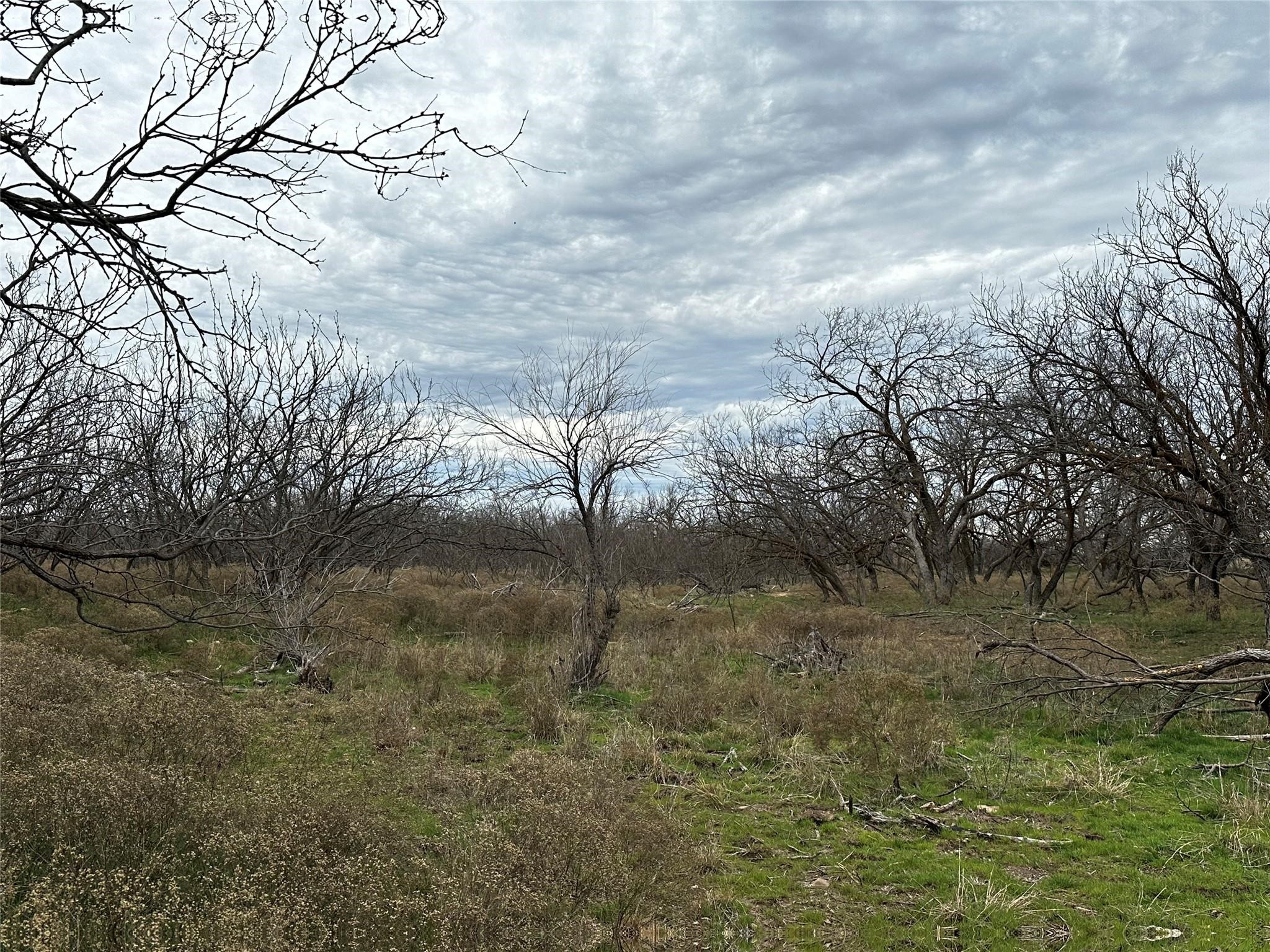 Tract 14 Ac Cr 105 Abilene TX 79601
