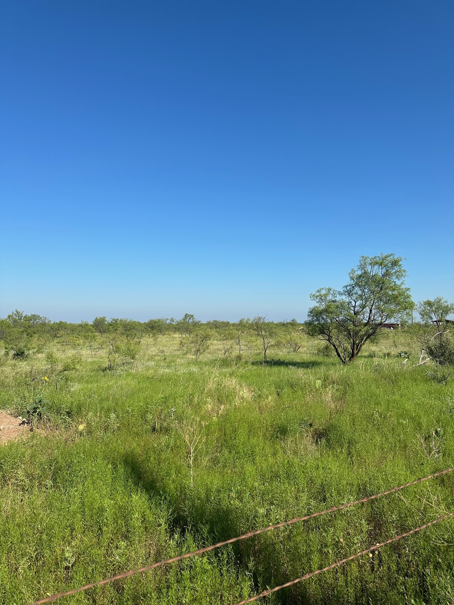 Tract 14 Ac Cr 105 Abilene TX 79601