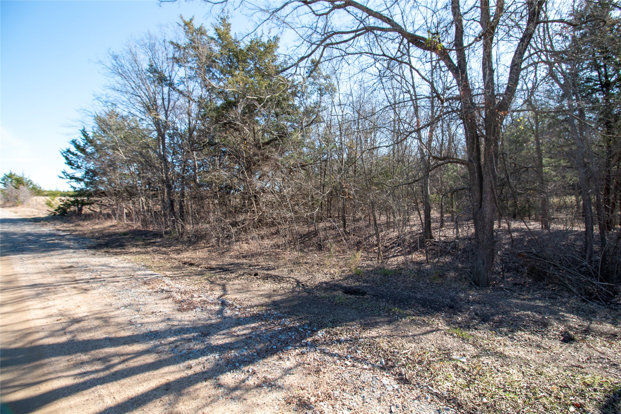 Lot 5 County Road 2905 Dodd City TX 75438