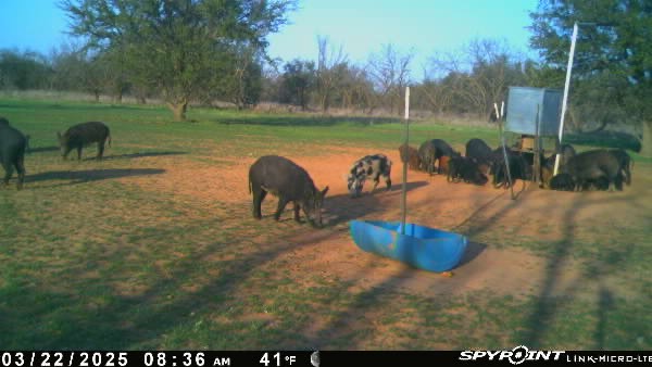 1712 Wells East Road W Newcastle TX 76372