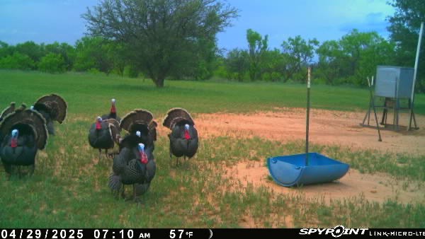1712 Wells East Road W Newcastle TX 76372