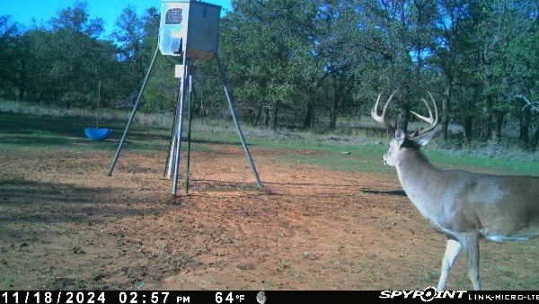 1712 Wells East Road W Newcastle TX 76372