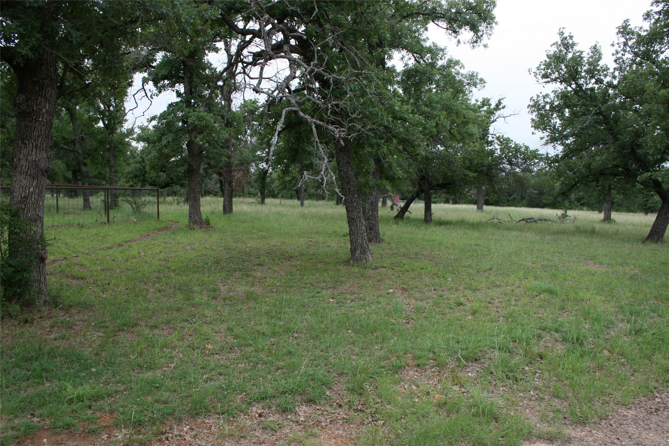 2701 Live Oak Road Santo TX 76472