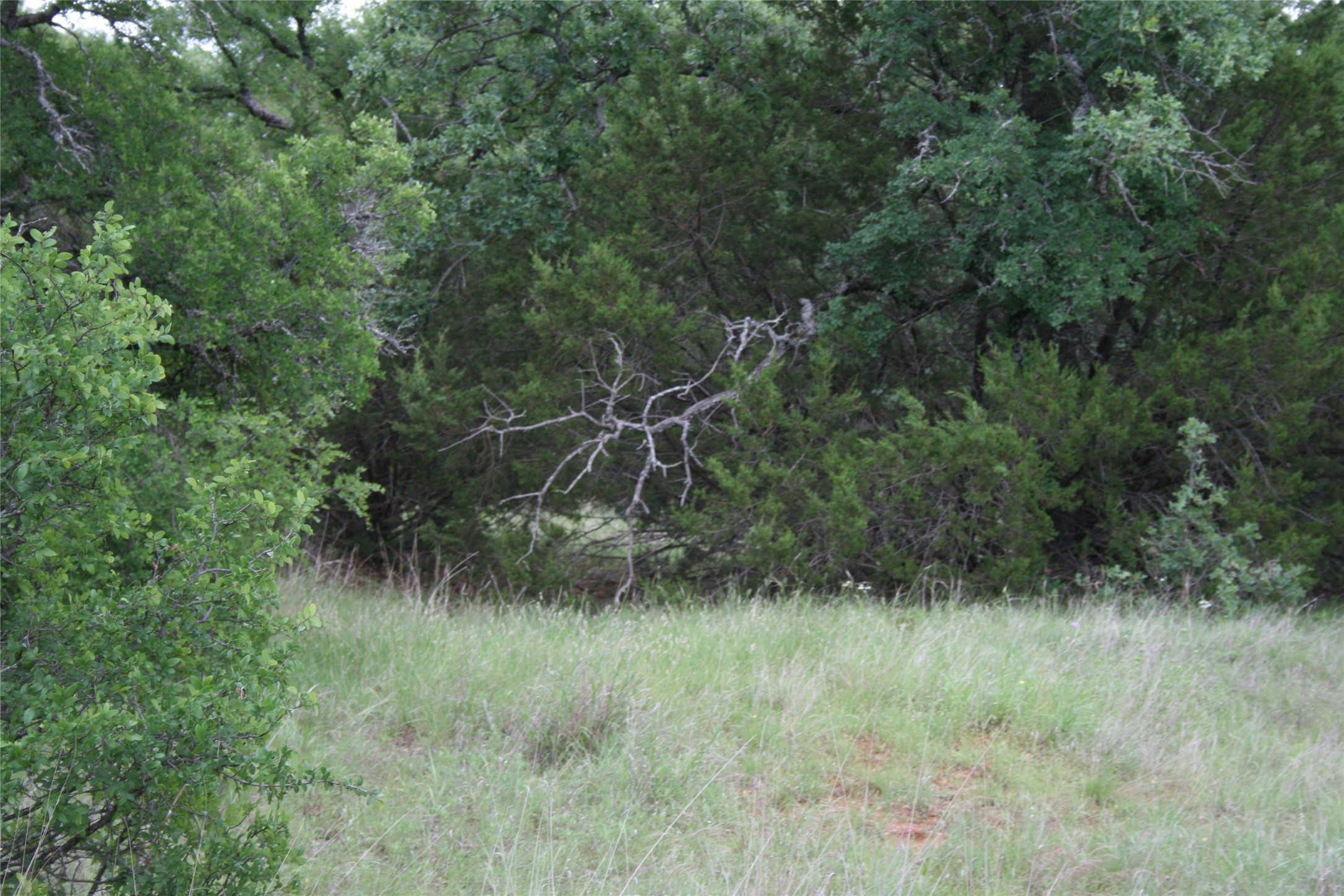 2701 Live Oak Road Santo TX 76472