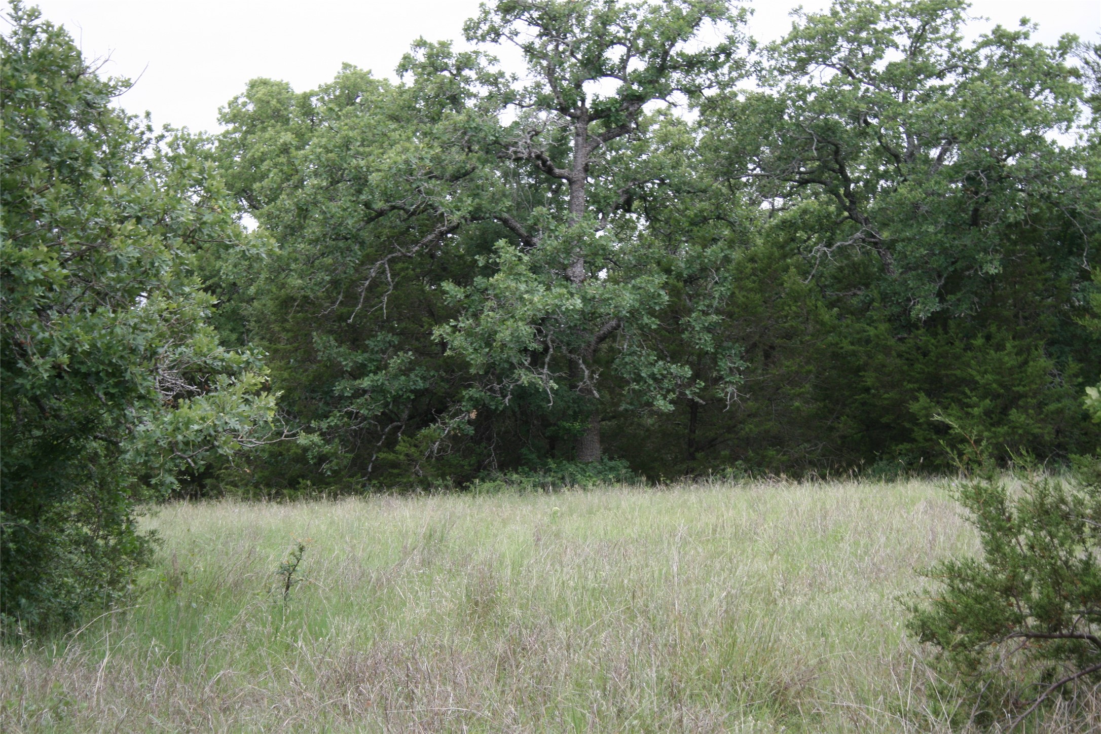 2701 Live Oak Road Santo TX 76472