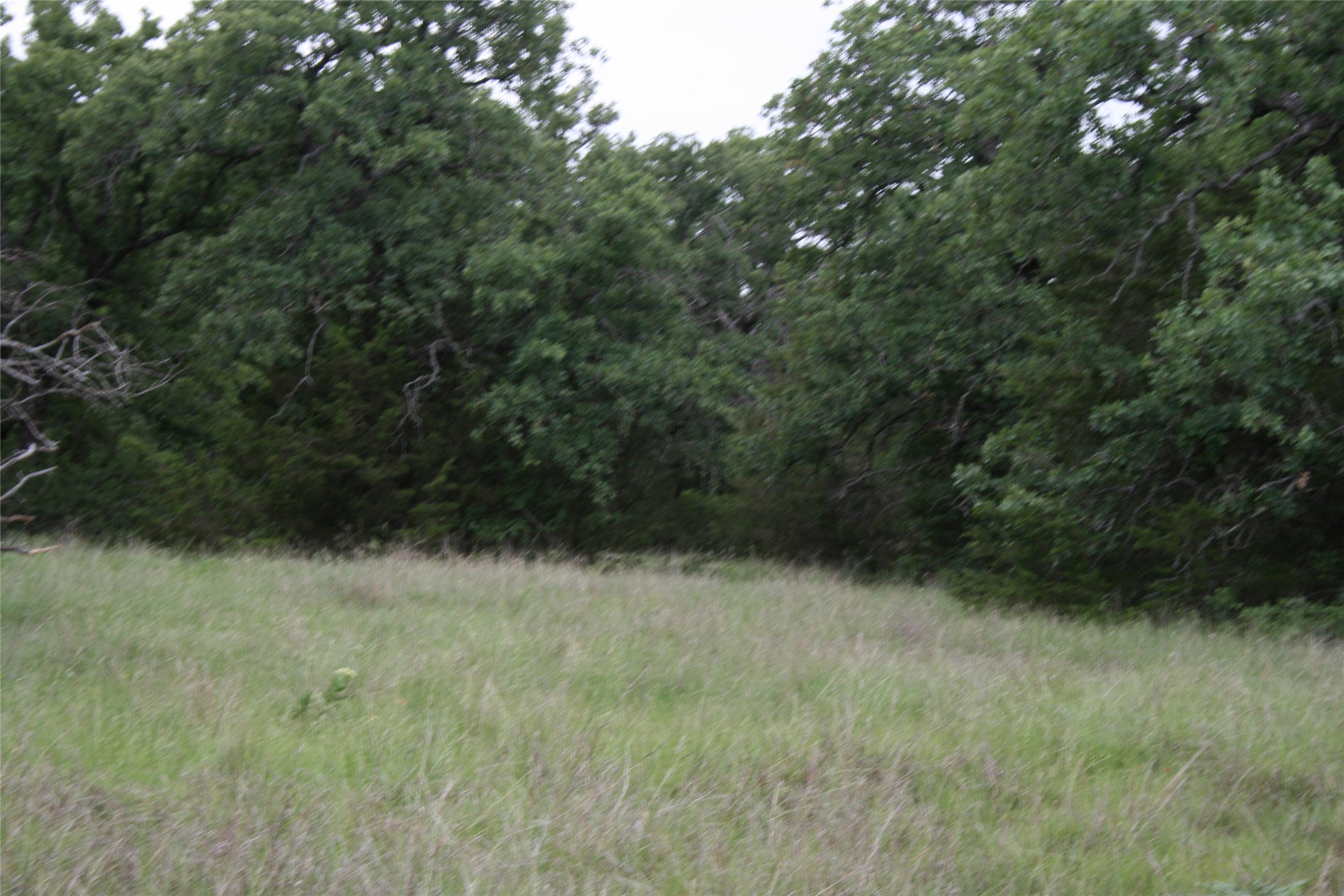 2701 Live Oak Road Santo TX 76472