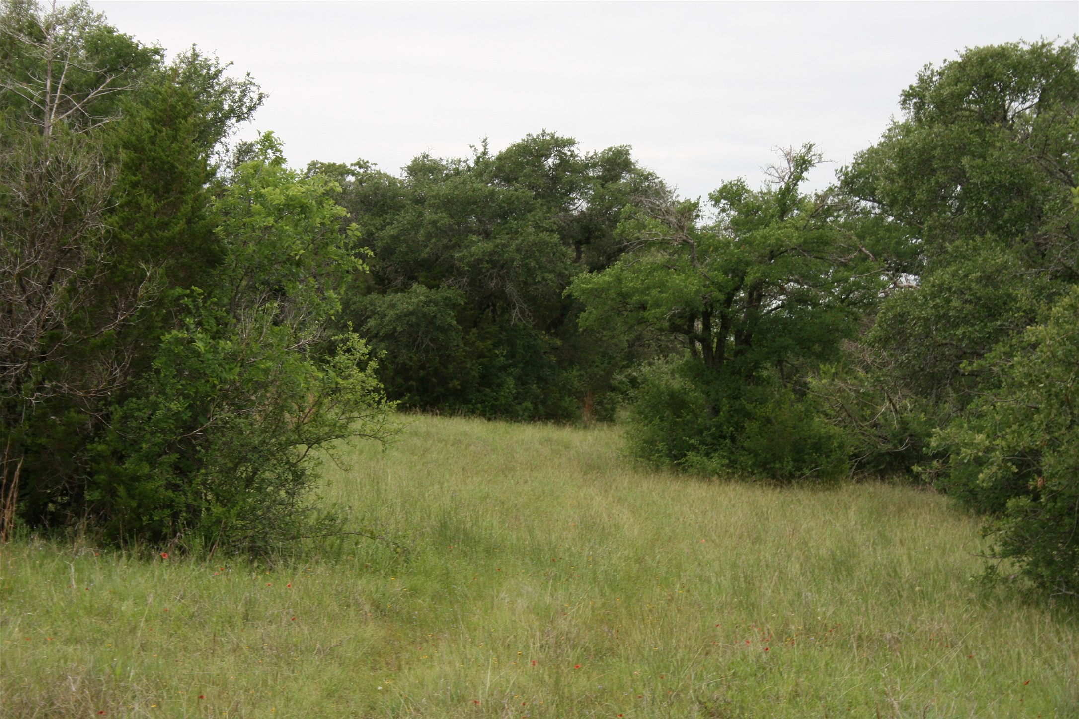 2701 Live Oak Road Santo TX 76472