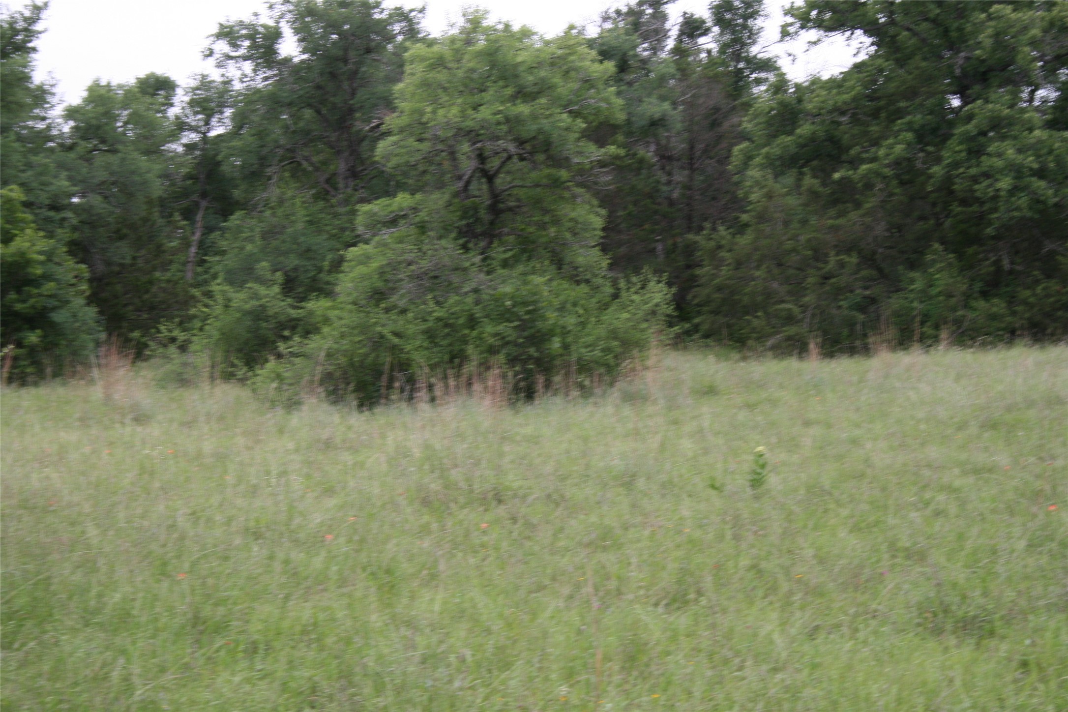 2701 Live Oak Road Santo TX 76472