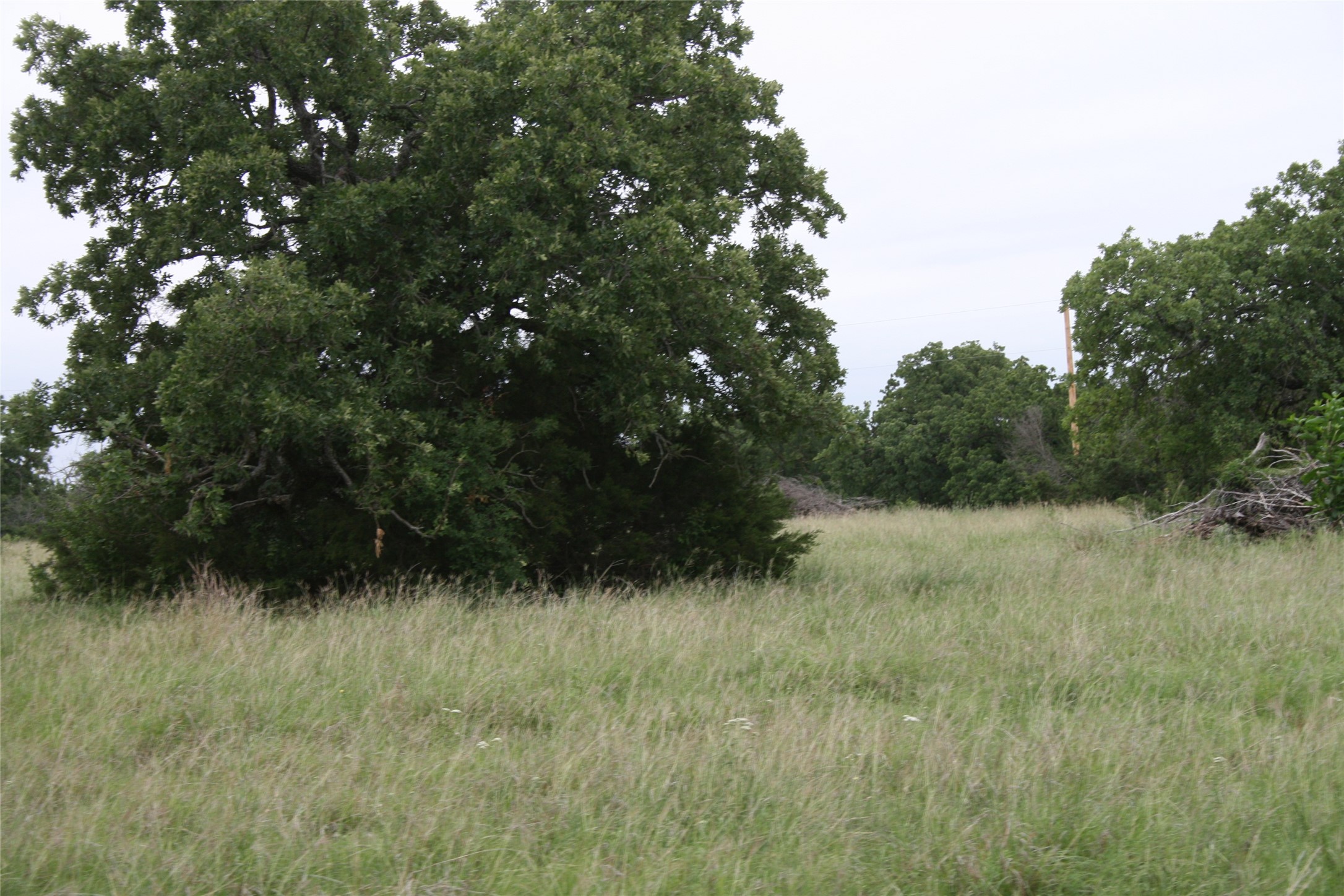 2701 Live Oak Road Santo TX 76472
