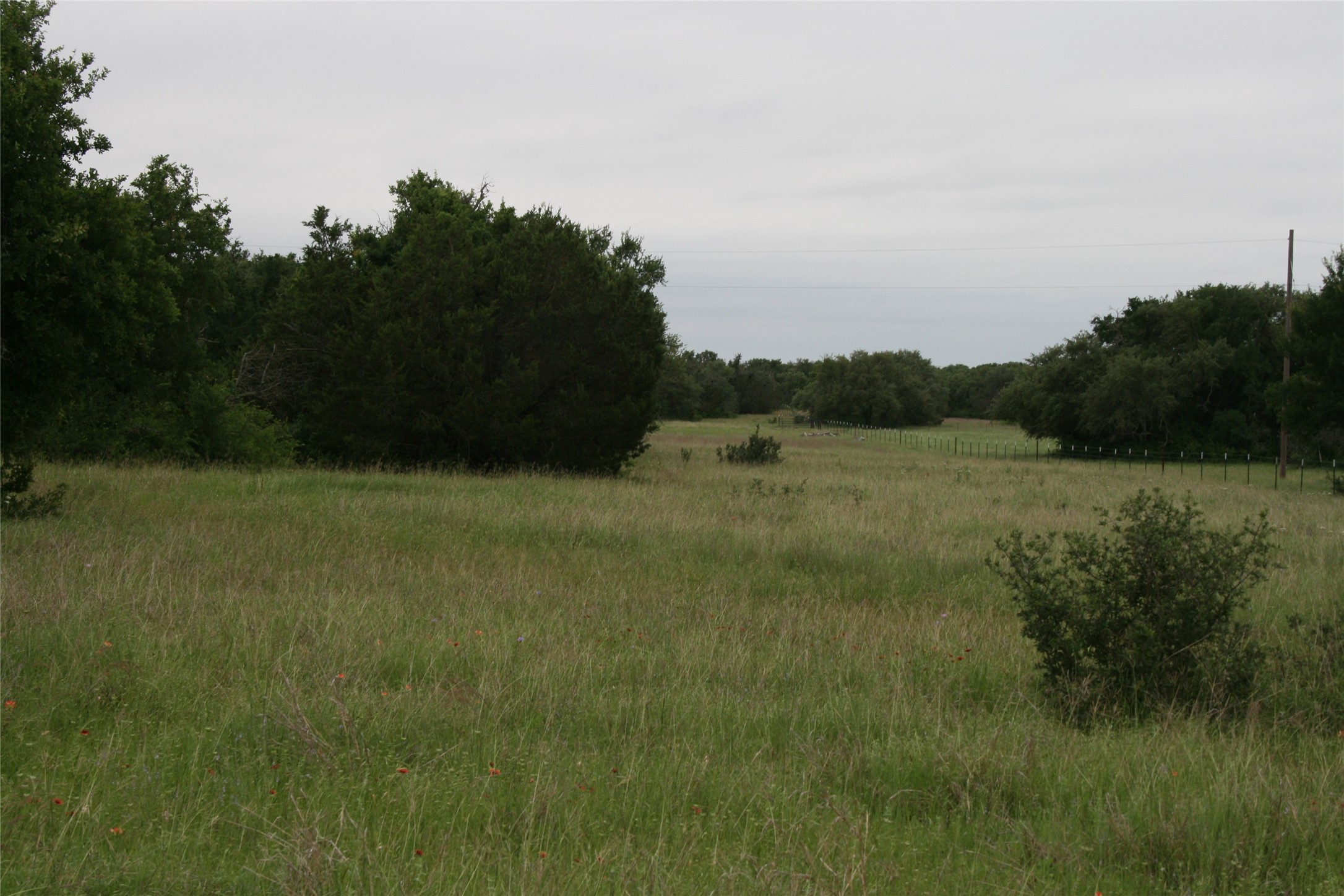 2701 Live Oak Road Santo TX 76472