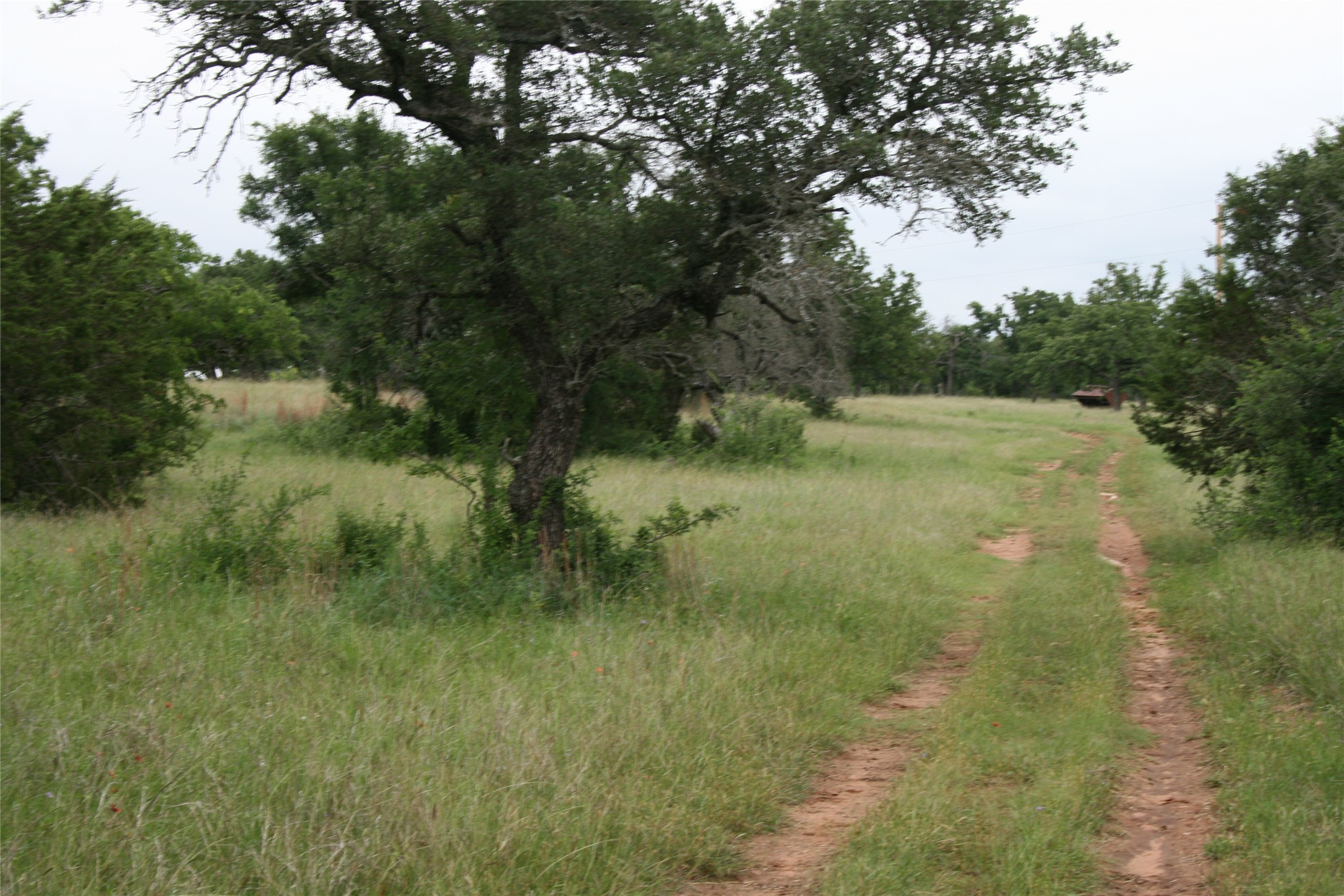 2701 Live Oak Road Santo TX 76472