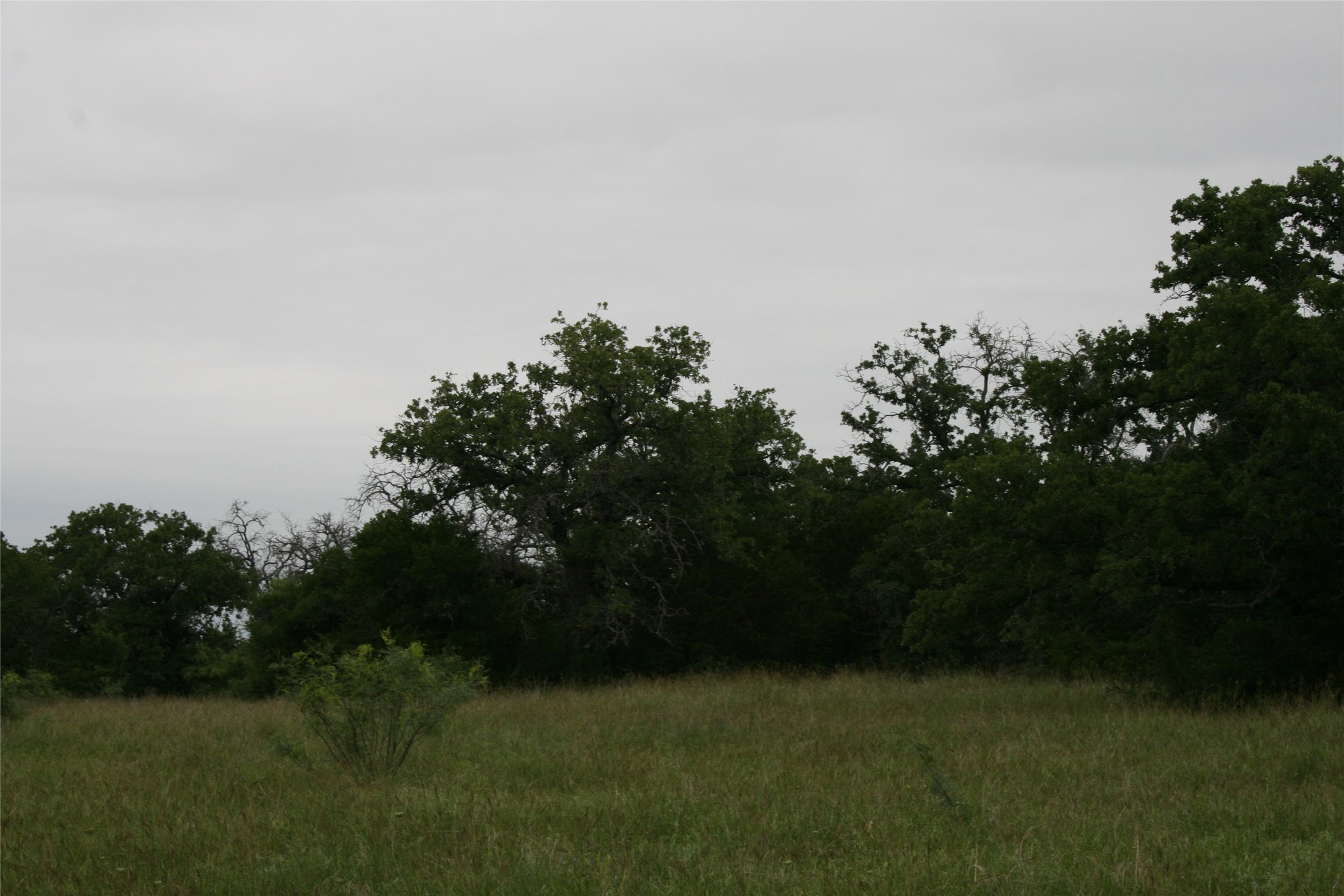 2701 Live Oak Road Santo TX 76472