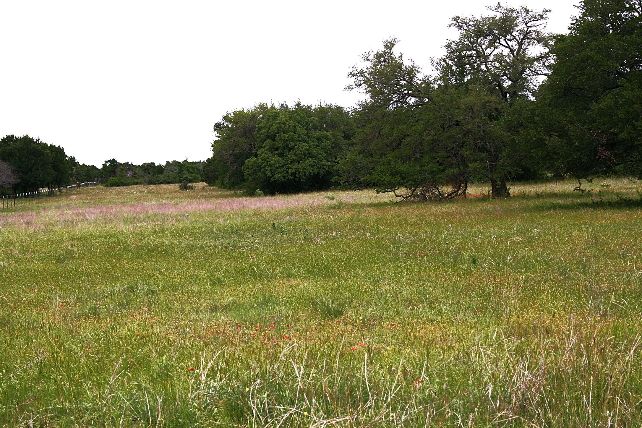 2701 Live Oak Road Santo TX 76472