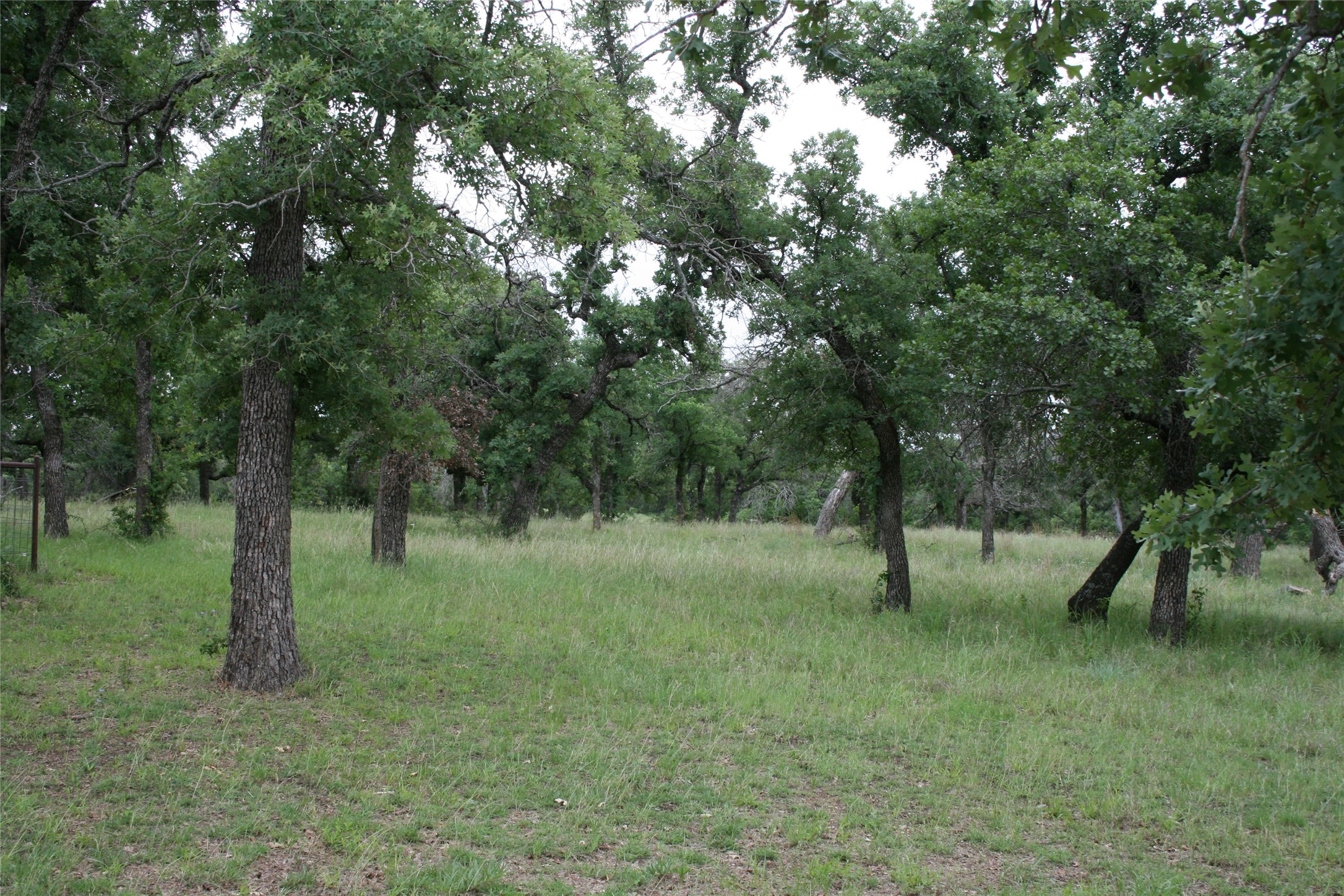 2701 Live Oak Road Santo TX 76472