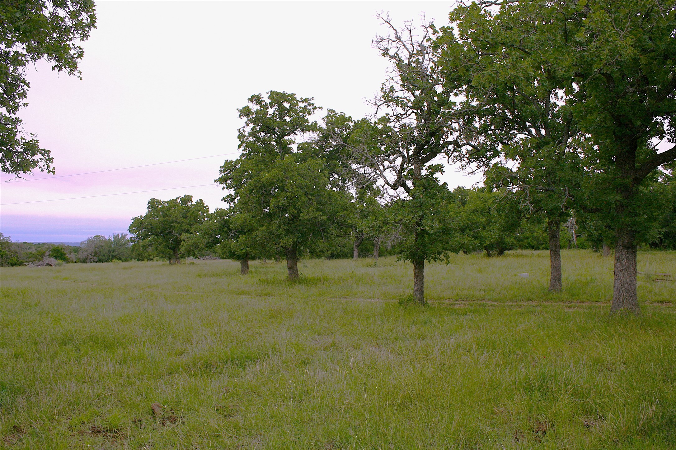 2701 Live Oak Road Santo TX 76472