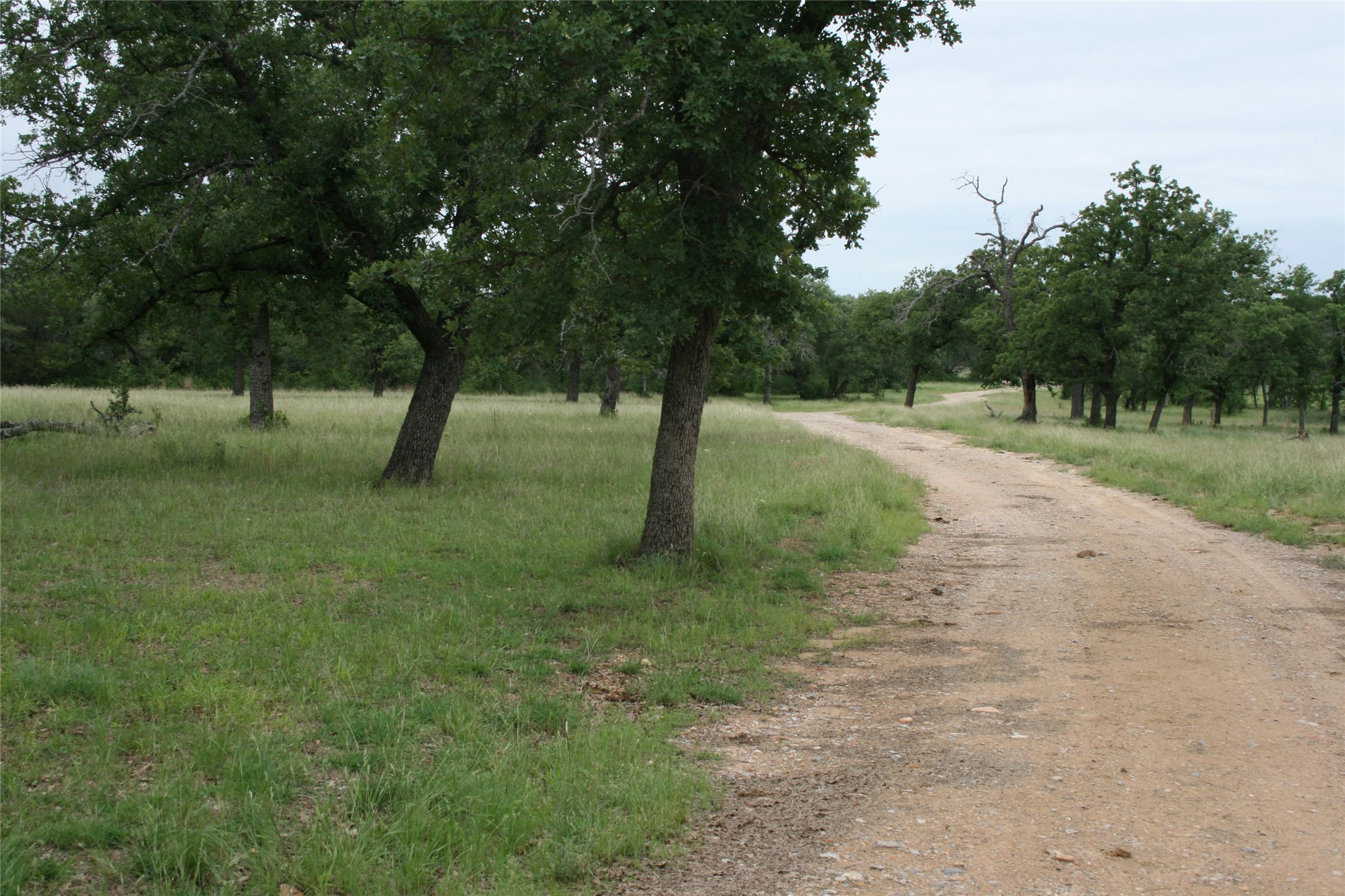 2701 Live Oak Road Santo TX 76472