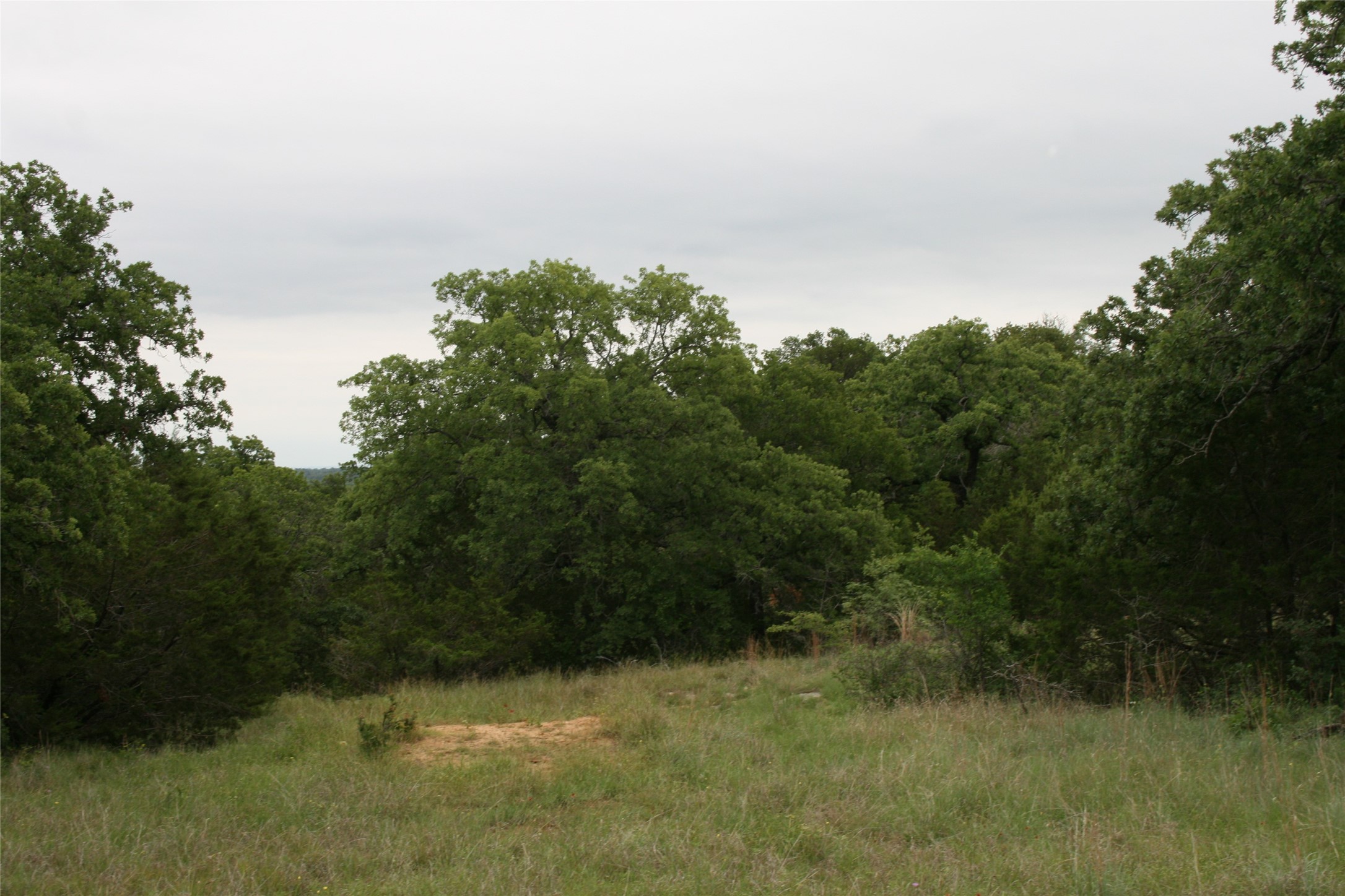 2701 Live Oak Road Santo TX 76472