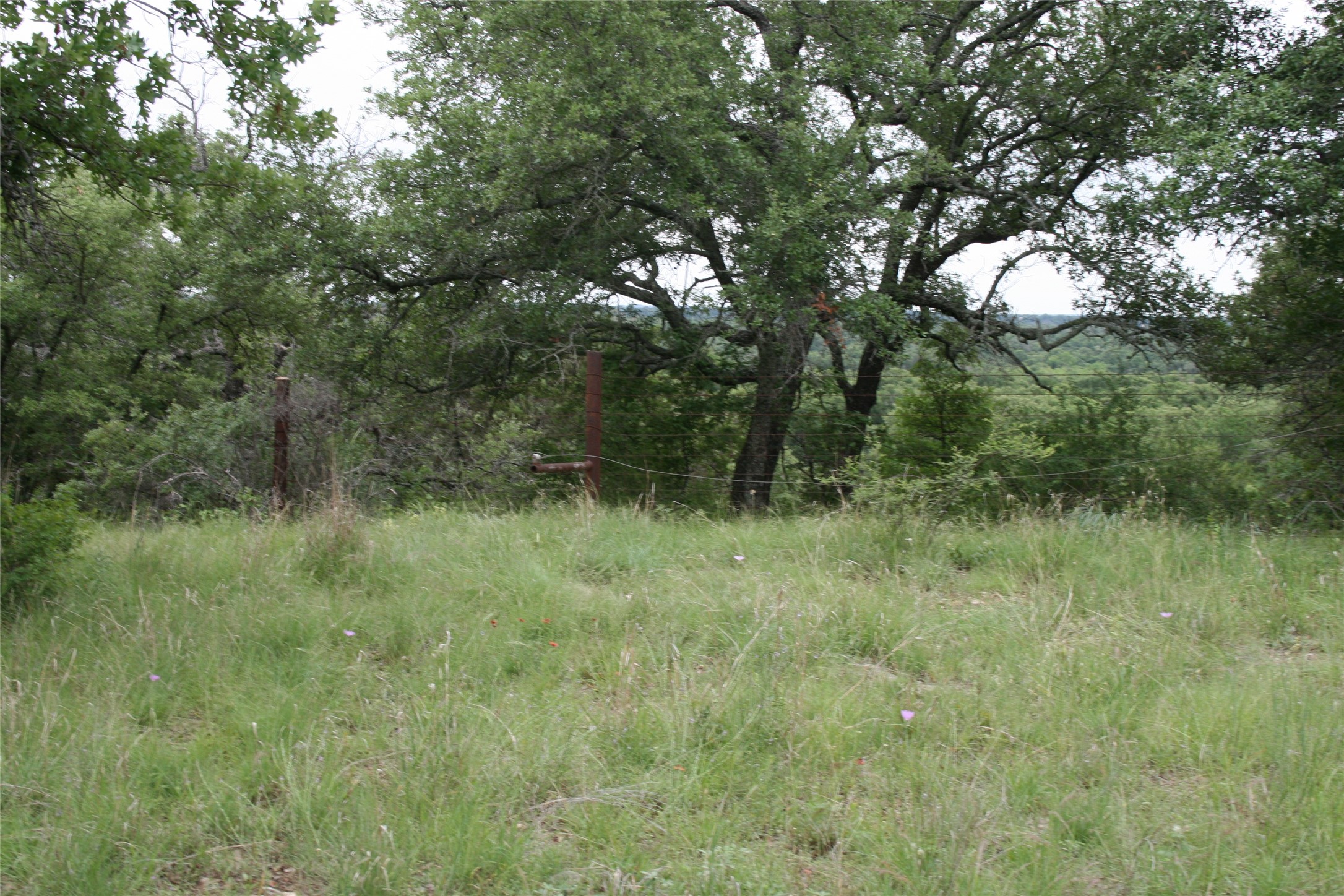 2701 Live Oak Road Santo TX 76472