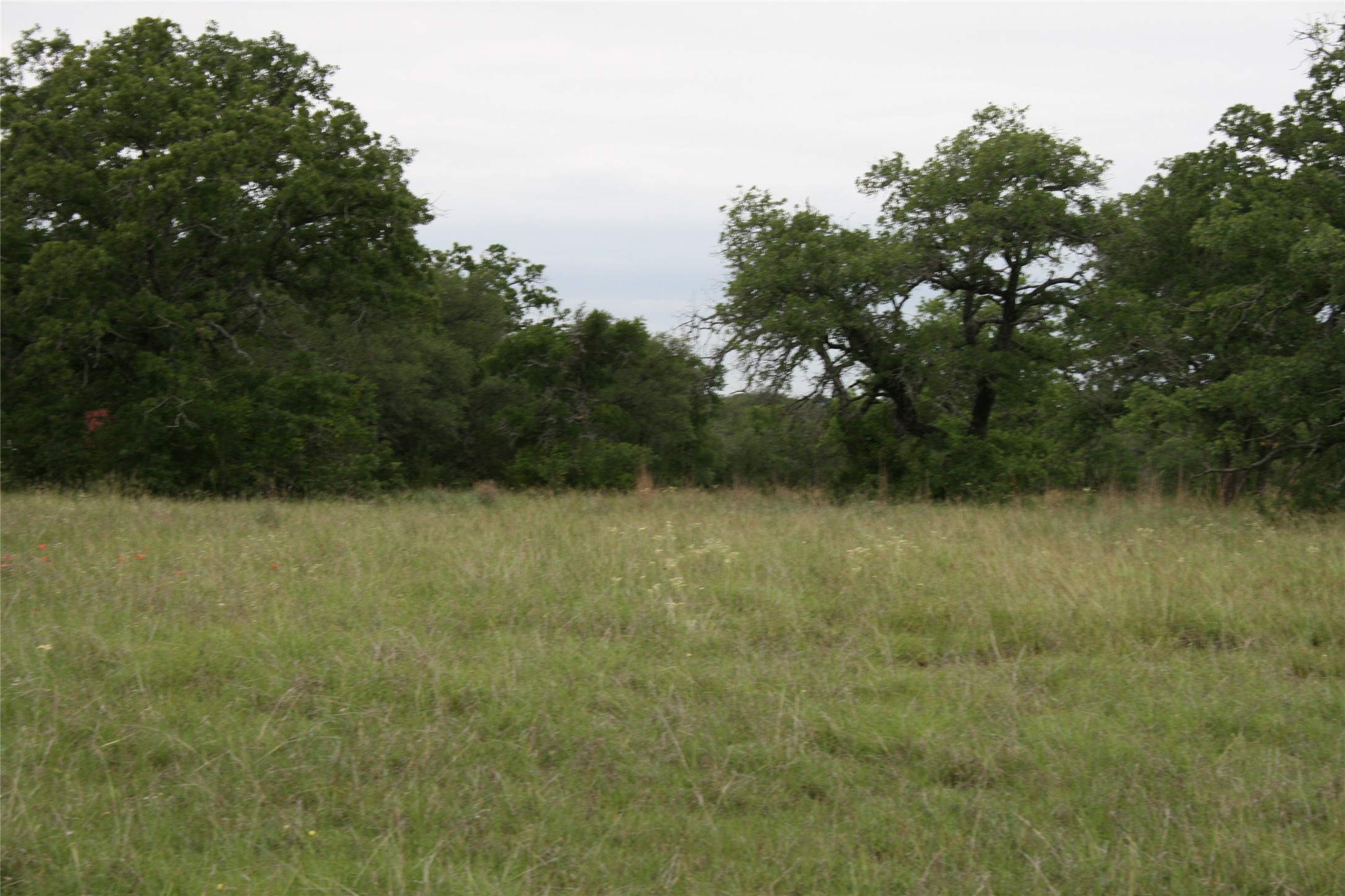 2701 Live Oak Road Santo TX 76472