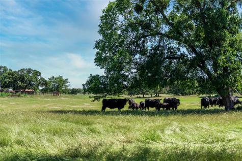5200 Cross Timbers Road Flower Mound TX 75022