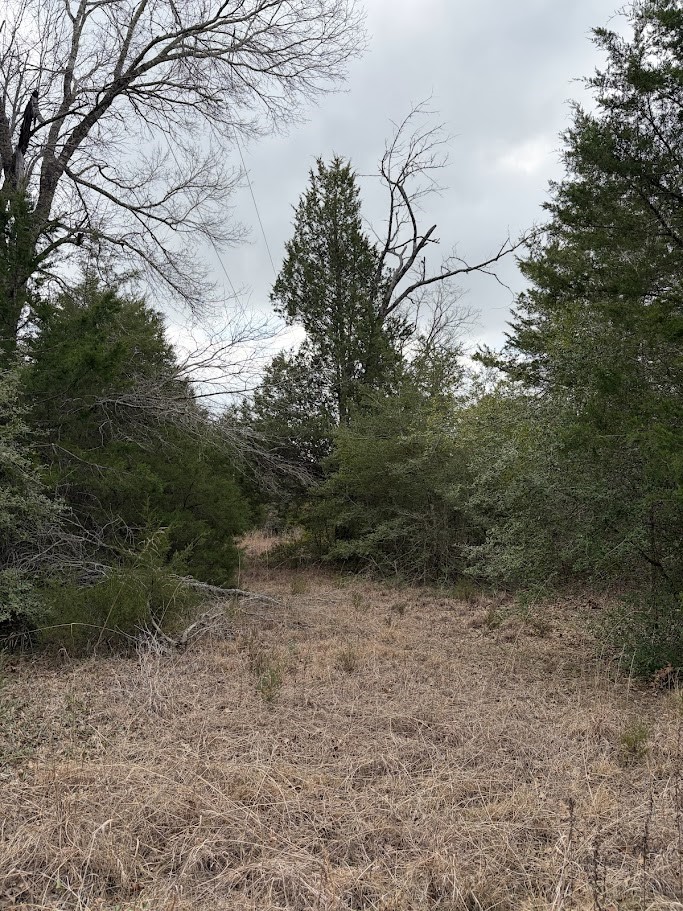 Tbd Cr 506 Fairfield TX 75840
