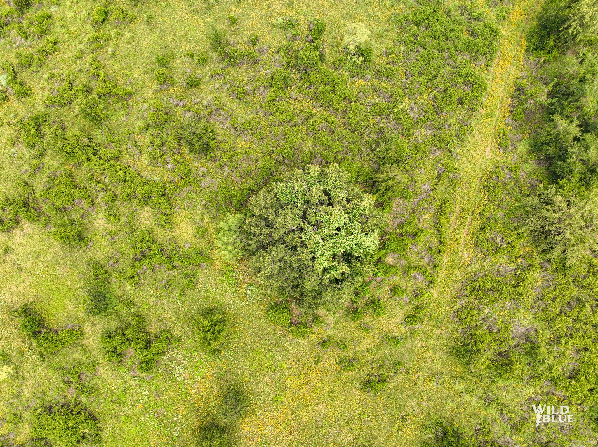 Lot 26 New Hope Road Santo TX 76484