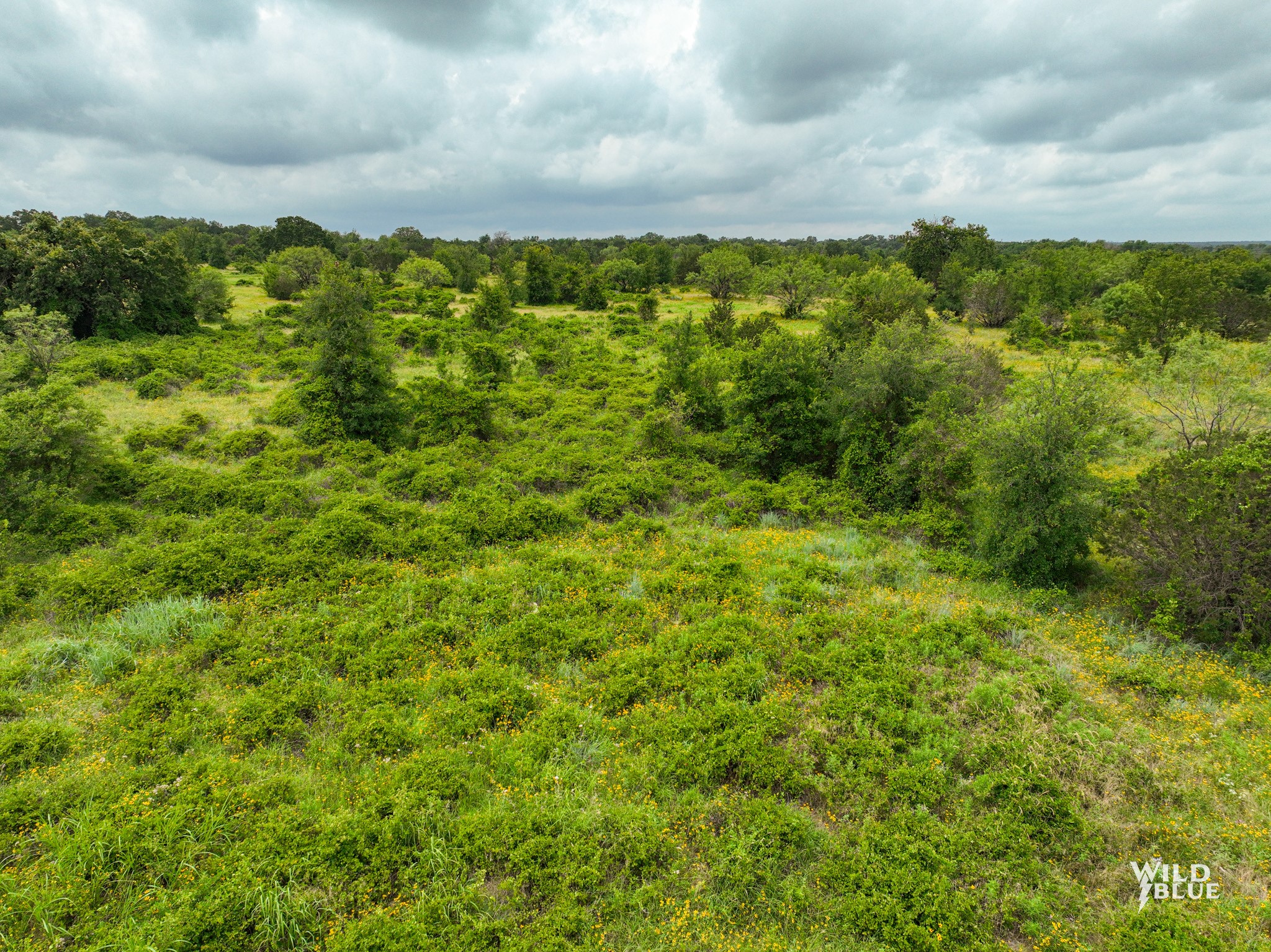 Lot 26 New Hope Road Santo TX 76484