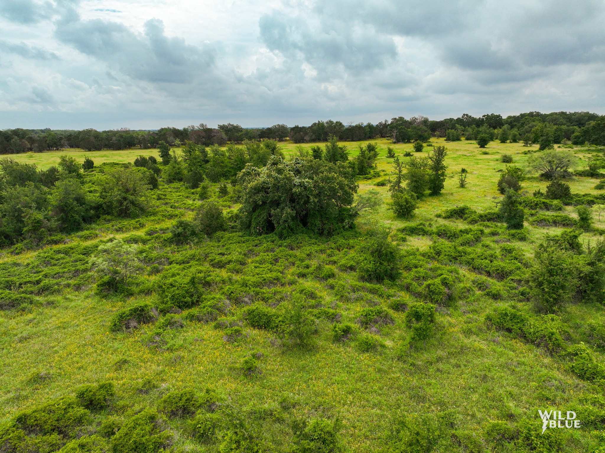 Lot 26 New Hope Road Santo TX 76484