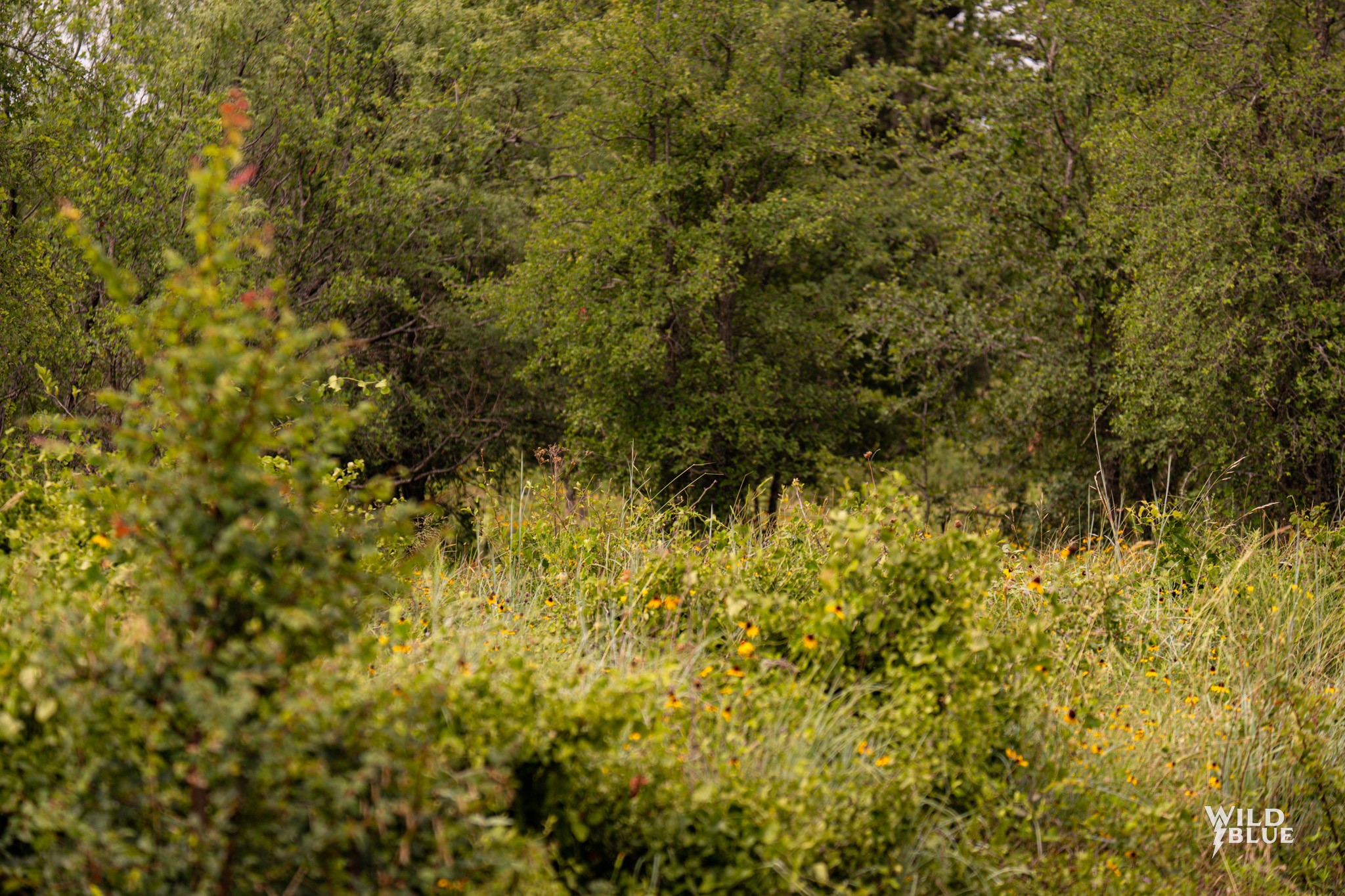 Lot 26 New Hope Road Santo TX 76484