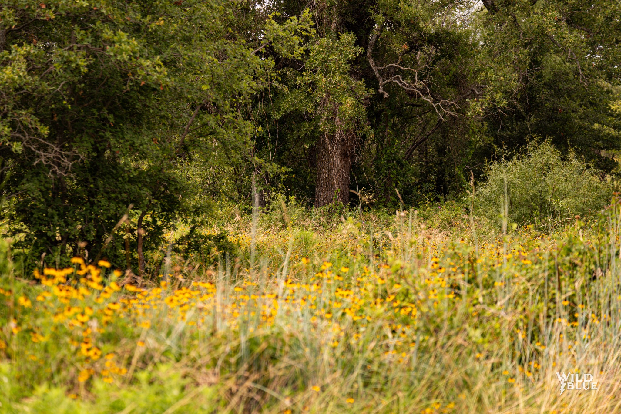 Lot 26 New Hope Road Santo TX 76484