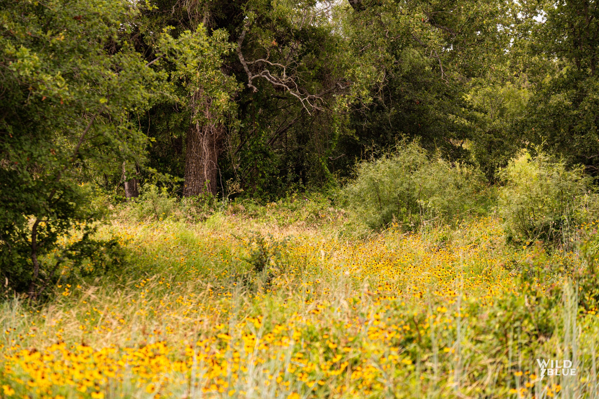 Lot 26 New Hope Road Santo TX 76484