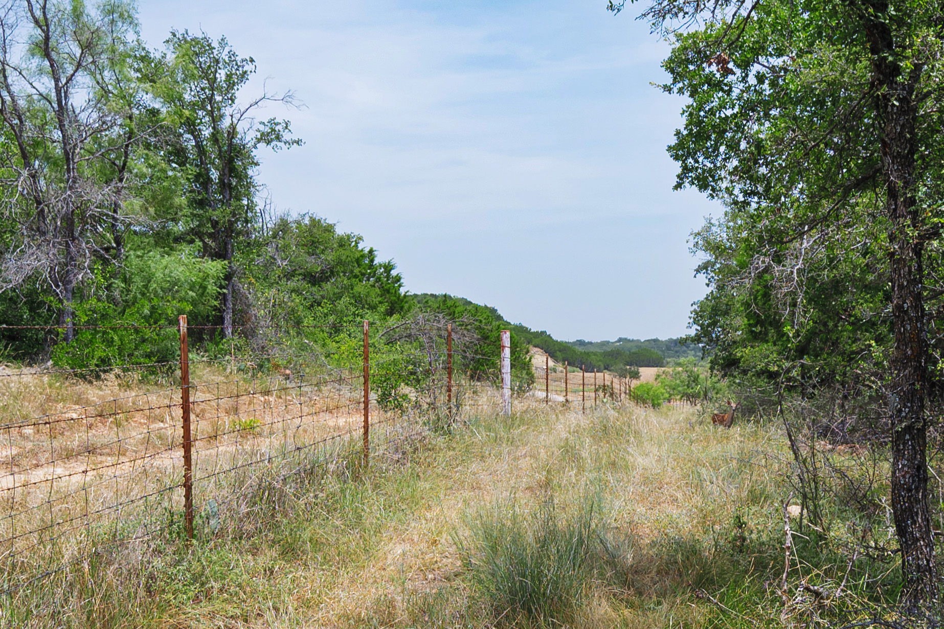 25.44 Ac N Fm 129 Santo TX 76472