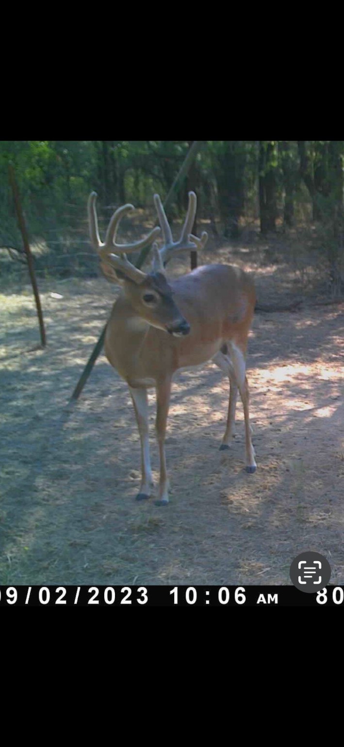 25.44 Ac N Fm 129 Santo TX 76472