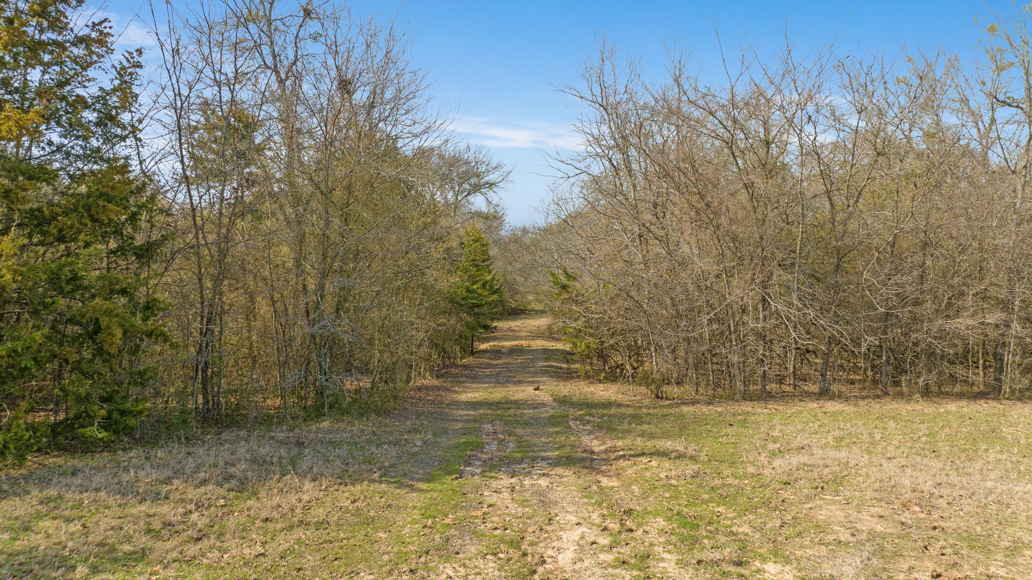 1602 Farm Road 1510 Brookston TX 75421