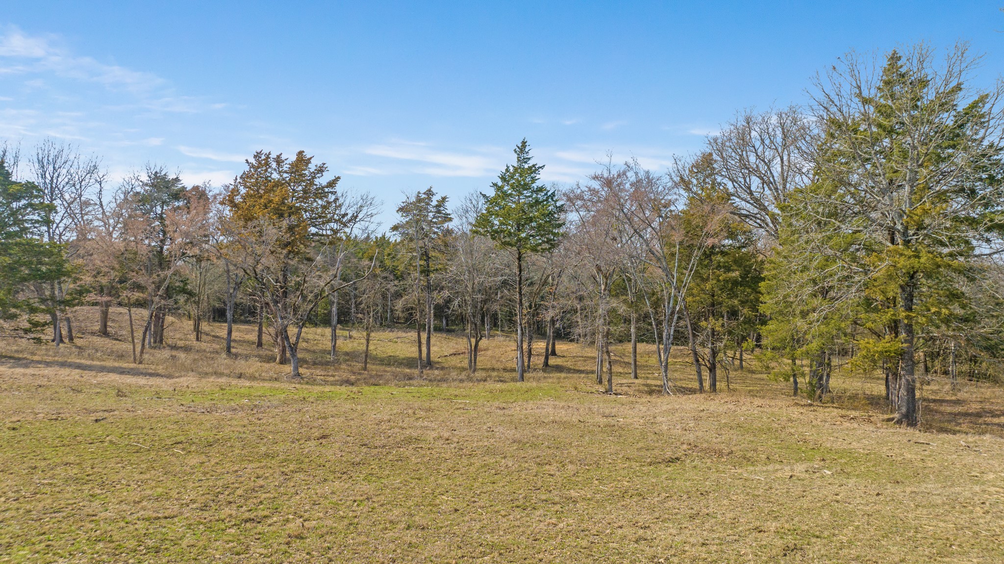 1602 Farm Road 1510 Brookston TX 75421
