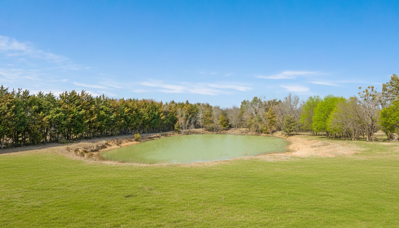 1602 Farm Road 1510 Brookston TX 75421