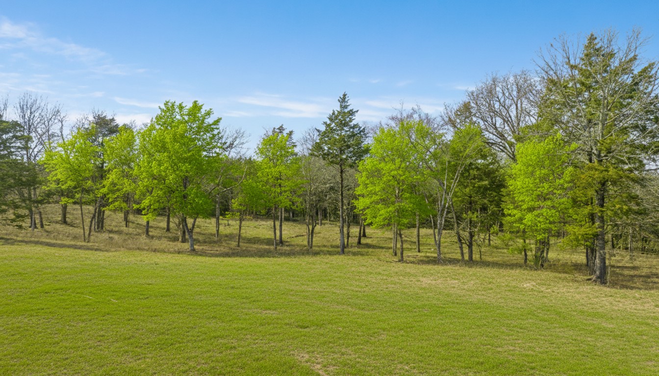 1602 Farm Road 1510 Brookston TX 75421