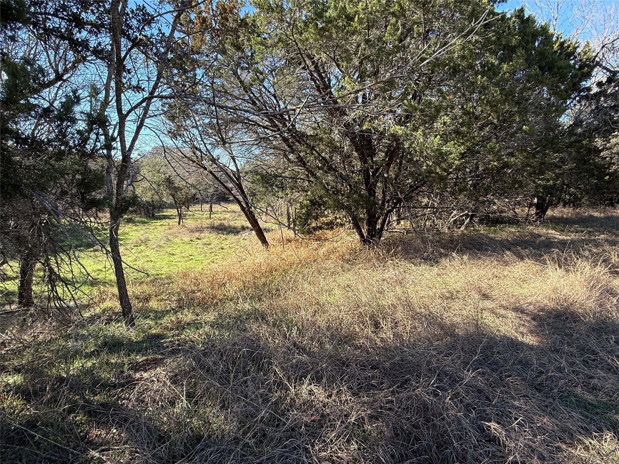 729 County Road 1304 Morgan TX 76671