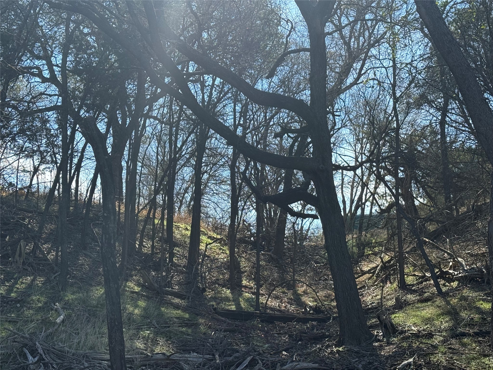 729 County Road 1304 Morgan TX 76671